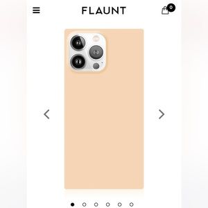 NWT Square Almond IPhone 13 Case